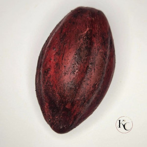 Cabosse chocolat trompe-l'œil - Kawacream