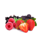 Fruités